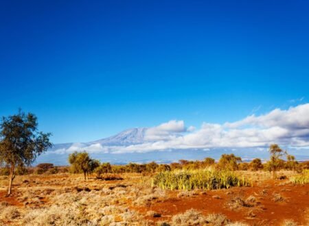 7-8 Days Lemosho Route Kilimanjaro Hiking Group