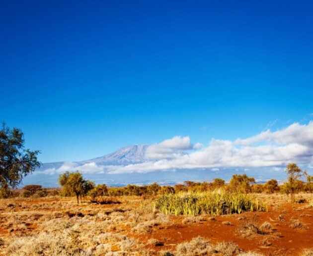 7-8 Days Lemosho Route Kilimanjaro Hiking Group