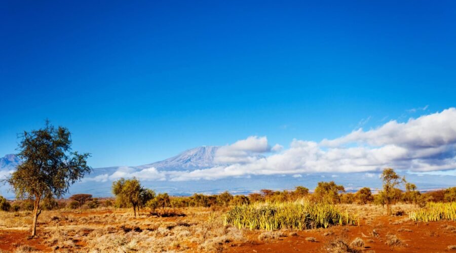 7-8 Days Lemosho Route Kilimanjaro Hiking Group