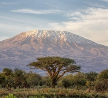 Where Is Kilimanjaro Located? A Complete Guide to Africa’s Tallest Mountain Beginners guide to Mount Kilimanjaro climbing