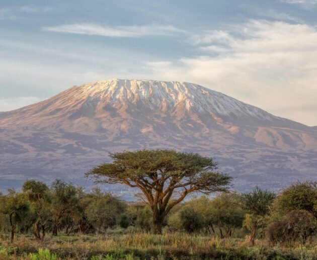 Mt. Kilimanjaro climbing guide 2024 - 2025