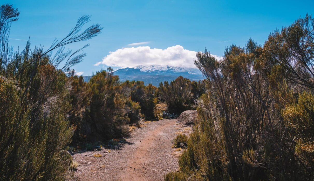 6-days Kilimanjaro Climb 2024-2026 6-Days Marangu Route