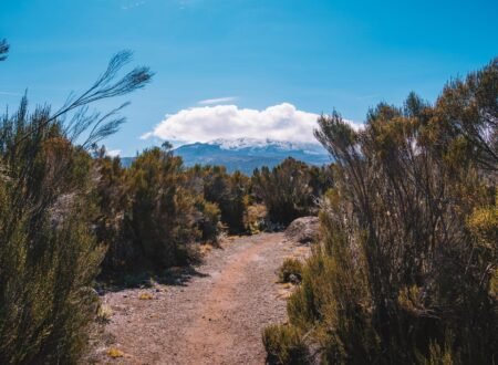 6-days Kilimanjaro Climb 2024-2026 6-Days Marangu Route