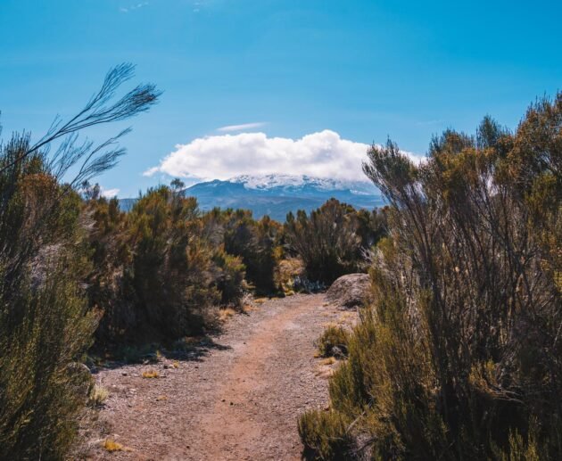 6-days Kilimanjaro Climb 2026-2028 6-Days Marangu Route