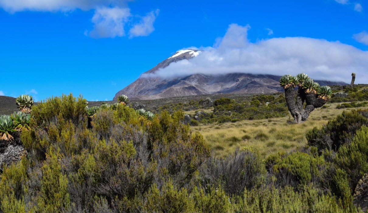 5 Days Marangu Route - Kilimanjaro Climbing