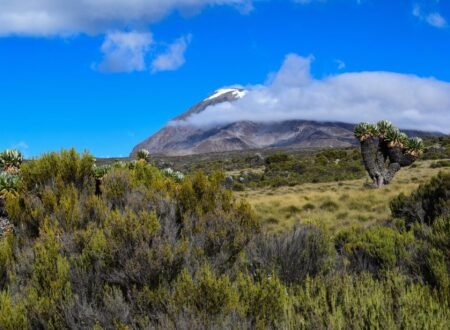 6-days Kilimanjaro hiking 2025