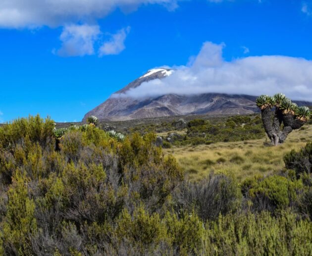 5 Days Marangu Route - Kilimanjaro Climbing