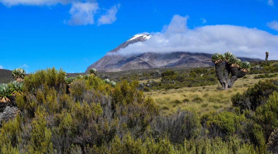6-days Kilimanjaro hiking 2026