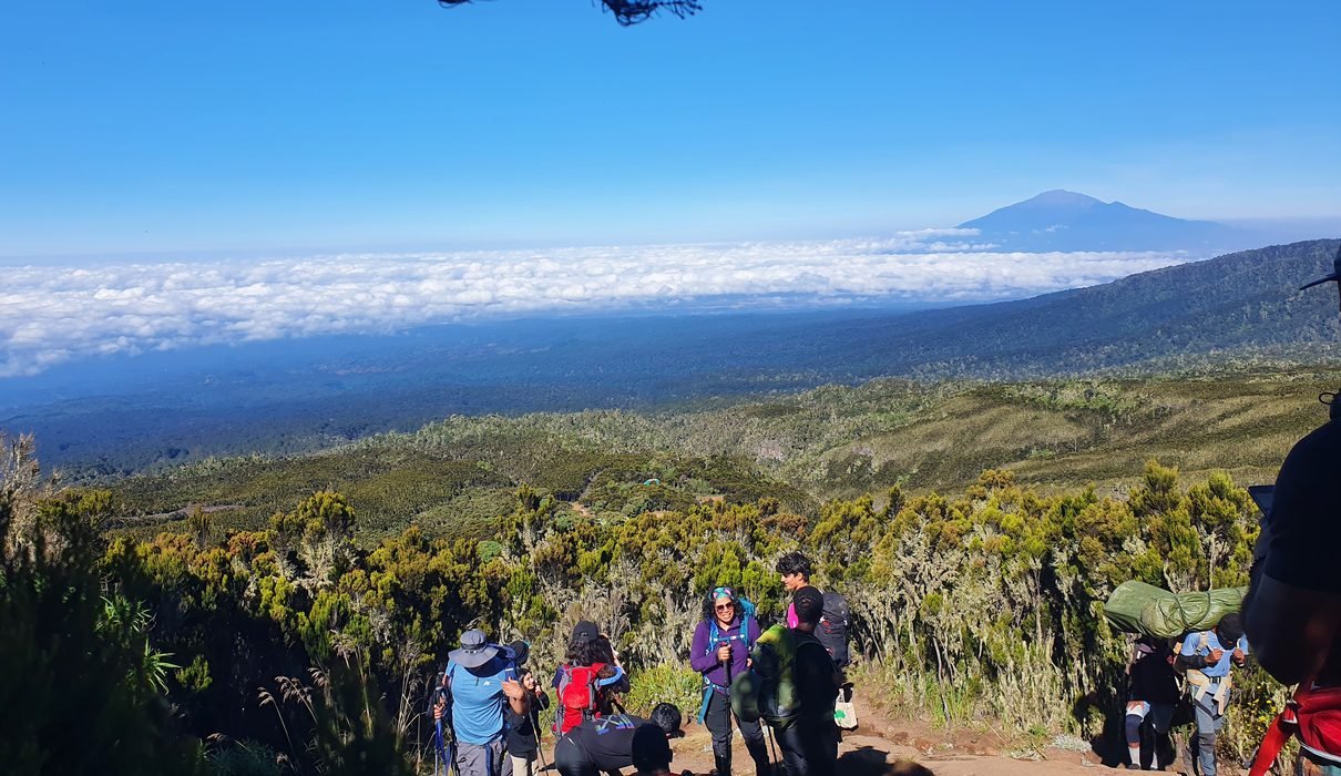 Best Updated 7-Day Lemosho Route Kilimanjaro Climb 2027–2028