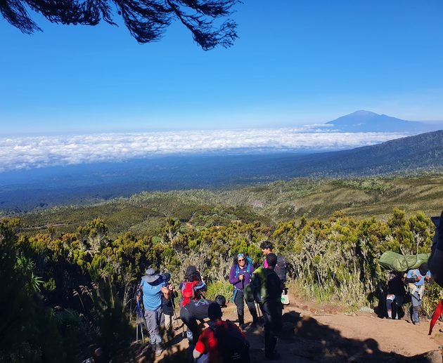Best Updated 7-Day Lemosho Route Kilimanjaro Climb 2027–2028