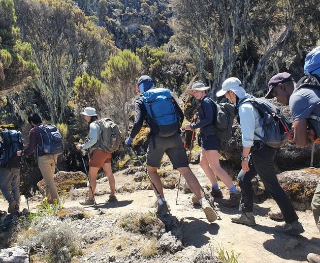 The Updated 9-Day Northern Circuit Route Kilimanjaro Climb 2027/2028/2029