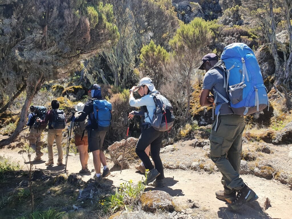 The best Kilimanjaro Climbing Marangu Route in 6-days 2026/2027