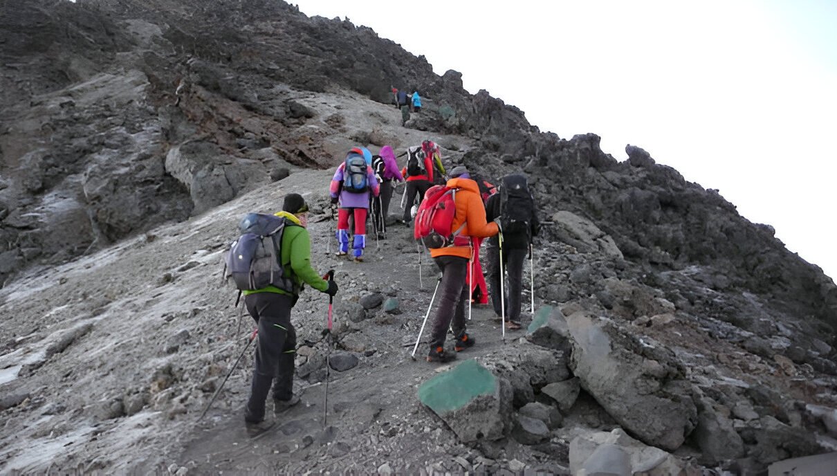 The best Kilimanjaro Climbing 11 days northern circuit in 2025/2026