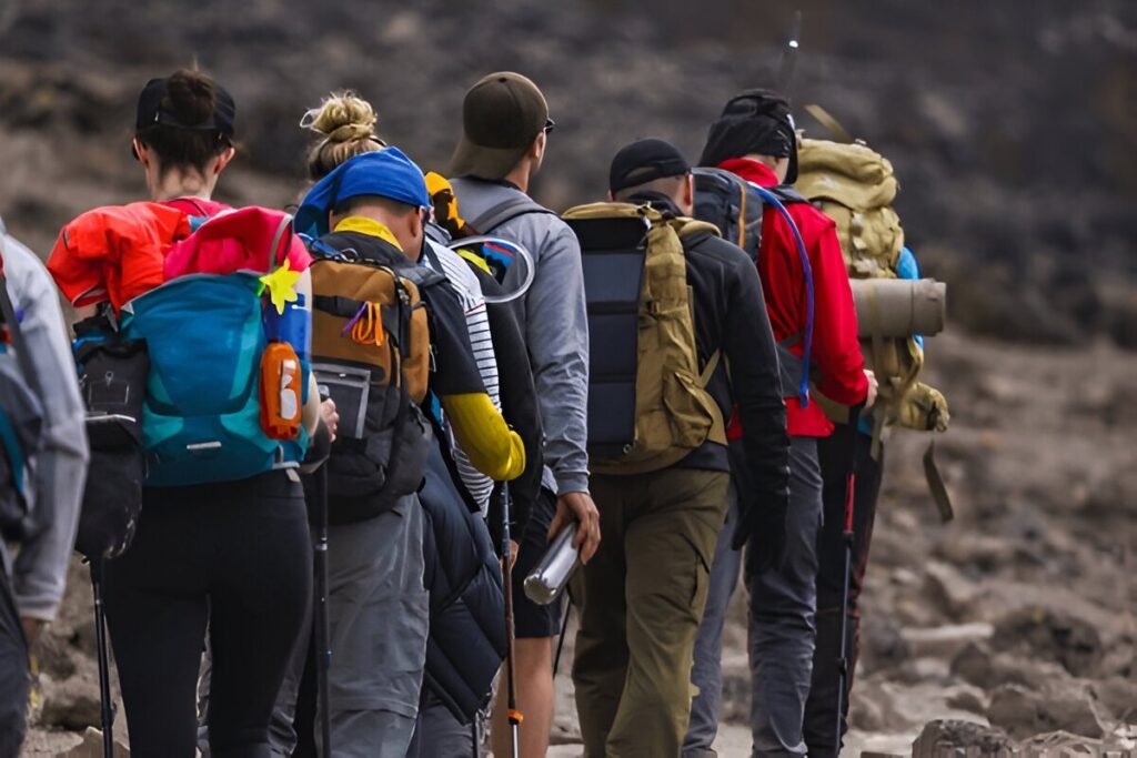 5-6-day Kilimanjaro hiking joining group Marangu route