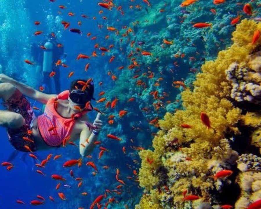 The Best 3-days Zanzibar Beach Holiday Tour full Itinerary