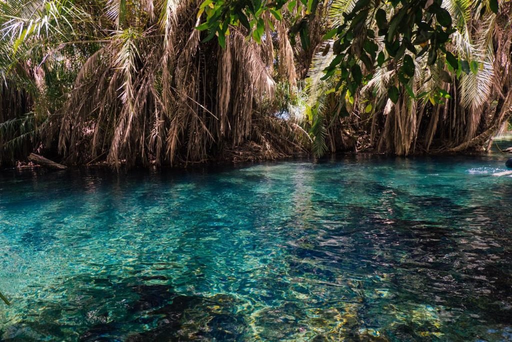 Chemka (Kikuletwa) Hot Springs Day Trip: Complete Guide for 2027 and 2028