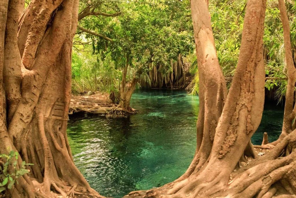 Chemka (Kikuletwa) Hot Springs Day Trip: Complete Guide for 2027 and 2028
