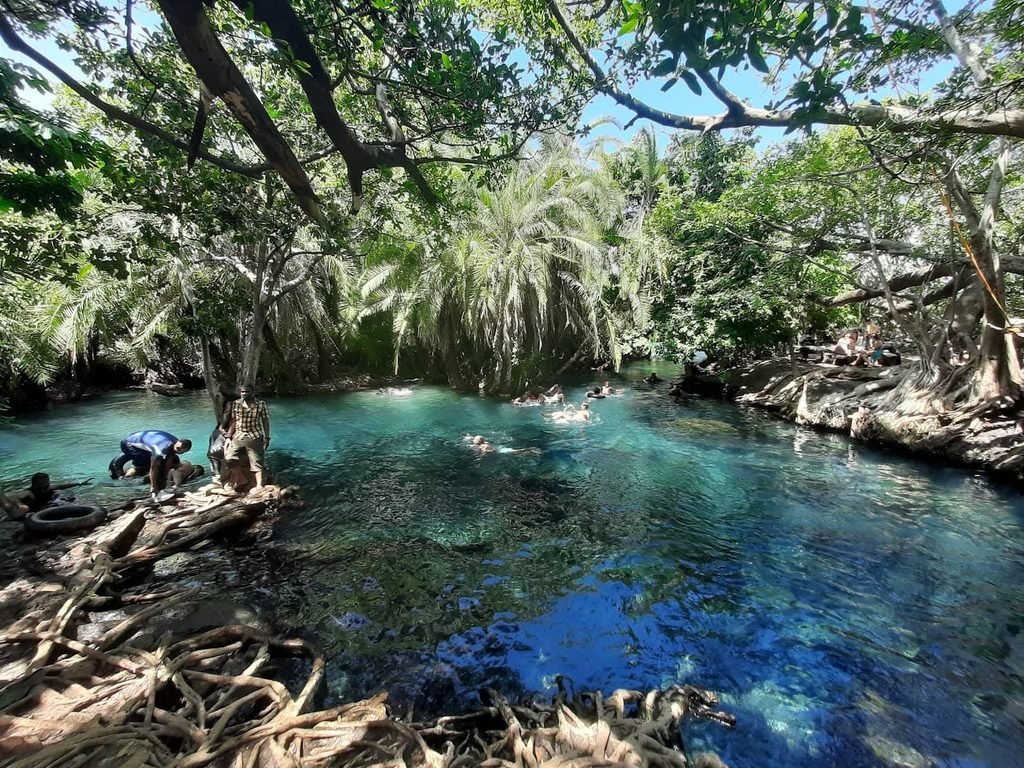 Chemka (Kikuletwa) Hot Springs Day Trip: Complete Guide for 2027 and 2028