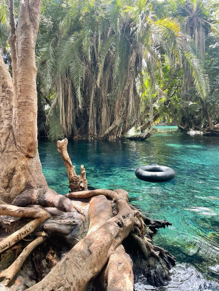 The best Chemka (Kikuletwa) Hot Springs Perfect Day Trip.A Complete Guide to Kikuletwa's Warm Water Paradise 2026/2027.