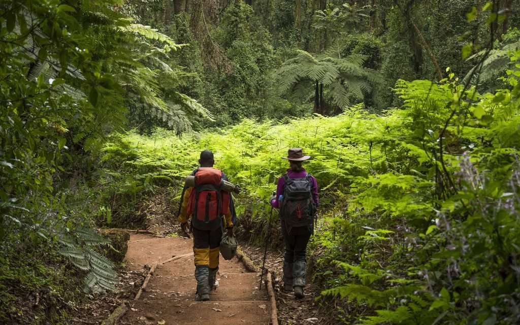 6-Day Marangu Route Kilimanjaro Climb 2027/2028: Complete Itinerary, Mountain Huts and Climbing Guide 6-Day Marangu Route Kilimanjaro Climb 2027/2028: Complete Itinerary, Mountain Huts and Climbing Guide