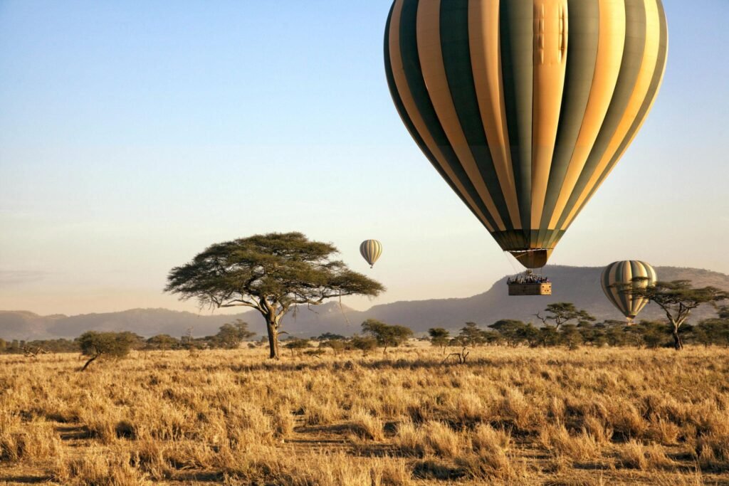 Book a Tanzania Safari online