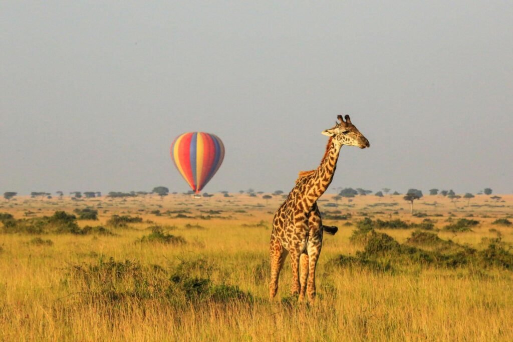 5-Day Serengeti Balloon Safari -Tanzania 2025/2026