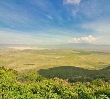 2 Days Lake Manyara Ngorongoro Crater Tanzania Safari