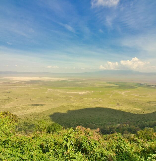 2 Days Lake Manyara Ngorongoro Crater Tanzania Safari