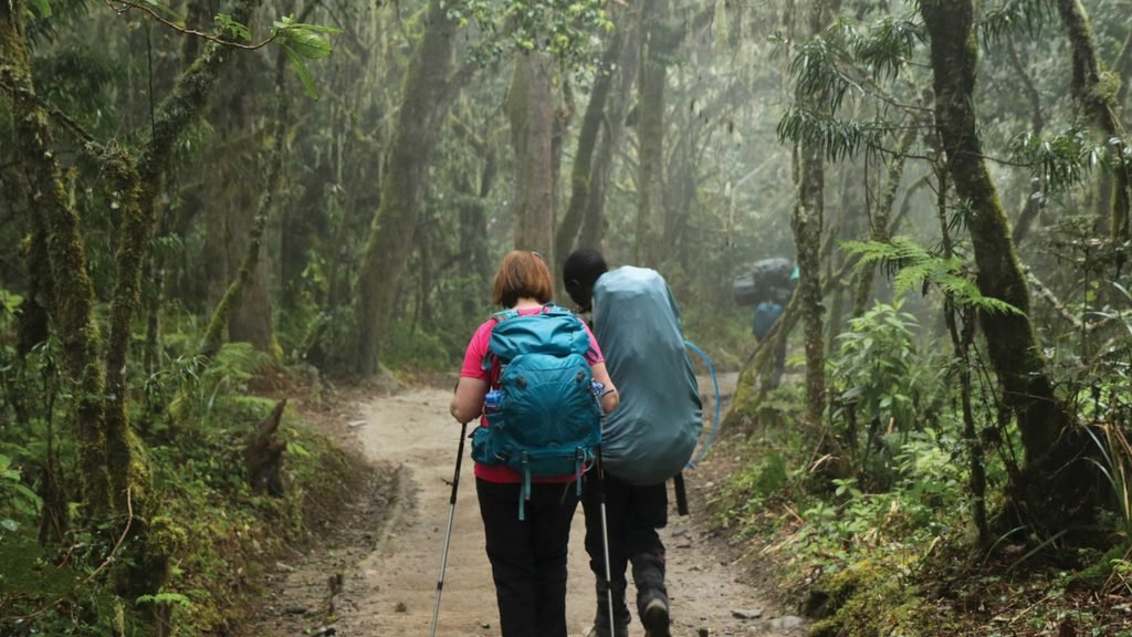 Kilimanjaro 1-Day Hike from Moshi via Marangu Route – 2027/2028 Kilimanjaro 1-Day Hike from Moshi via Marangu Route – 2027/2028