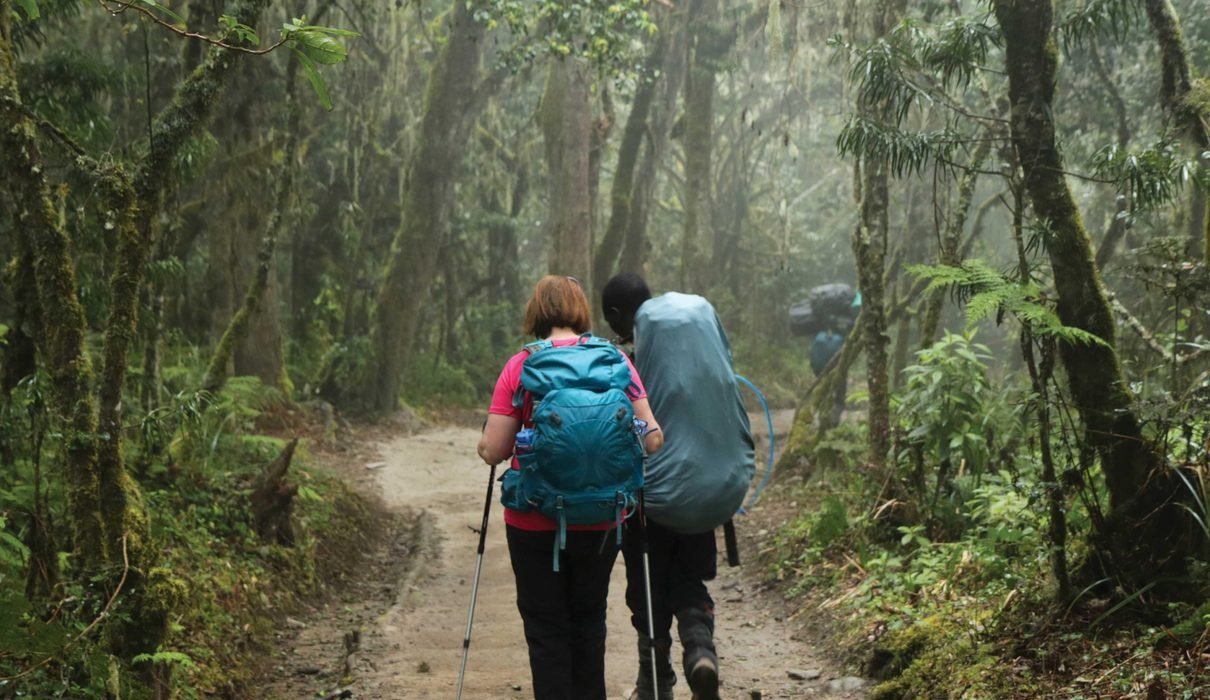 The Best 9-Day Lemosho Route Kilimanjaro Climb in 2027/2028
