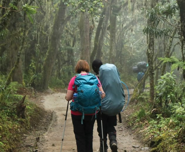 The Best 9-Day Lemosho Route Kilimanjaro Climb in 2027/2028