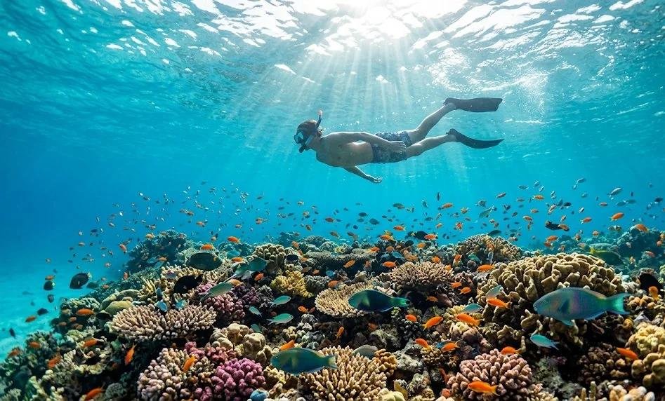 The Best 9-Day Zanzibar Beach Holiday from Arusha and Moshi – Complete Itinerary 2027/2028/2029 The Best 9-Day Zanzibar Beach Holiday from Arusha and Moshi – Complete Itinerary 2027/2028/2029