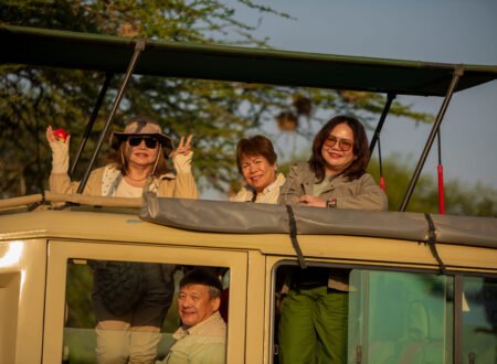 3-days Tanzania sharing group joining safari 2026/2027