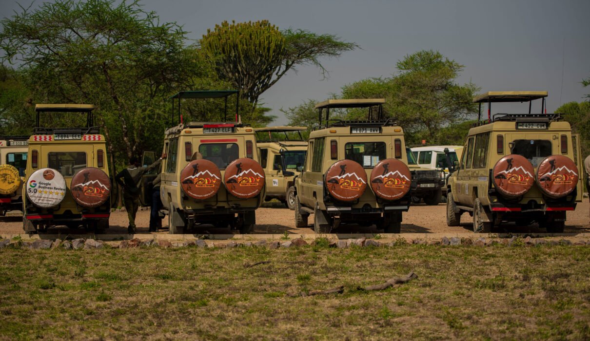 Best 6 days Serengeti Wildebeest Migration Safari
