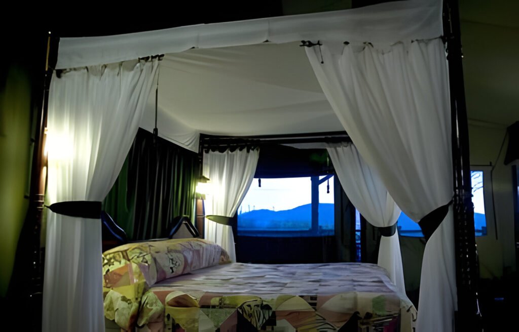 Best days Tanzania lodge safari 2025