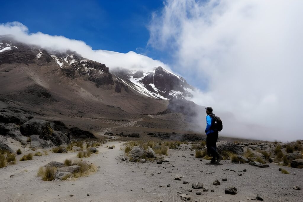 The most well-established Kilimanjaro Marangu