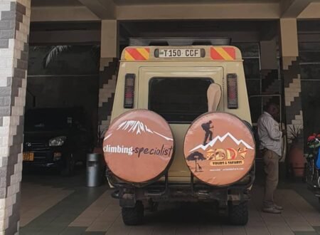 Best Tanzania Safari Companies-How to Choose the Right One