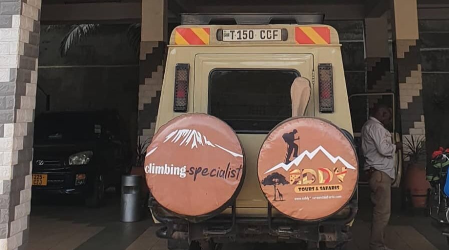 Best Tanzania Safari Companies-How to Choose the Right One