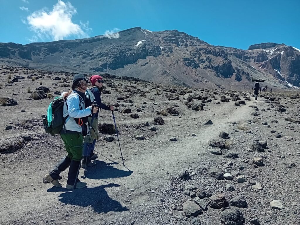 8 days Kilimanjaro joining group via Lemosho route