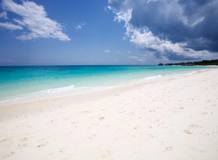 Amazing 8-Day Zanzibar Tour Holiday Packages 2027, 2028 and 2029