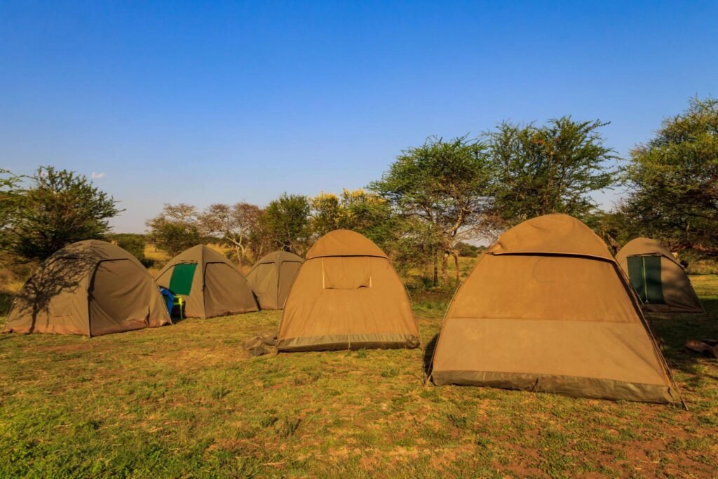 best 6 days tanzania budget safari Excludes