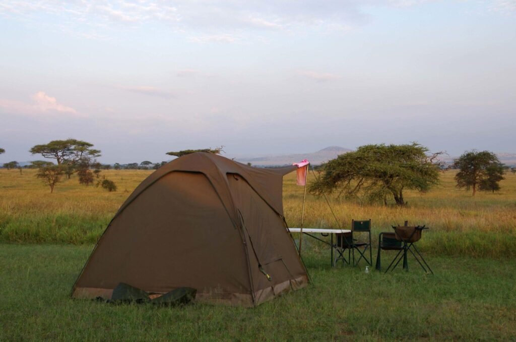 The best 2 days Tanzania lodge safari