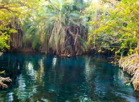 The Best and popular 1 Day Kikuletwa Chemka hot spring tour trip