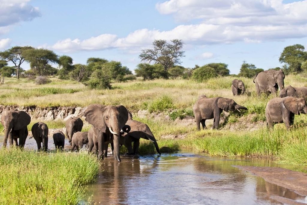 Best 2-Day Tarangire and Ngorongoro Crater Safari from Arusha and Moshi