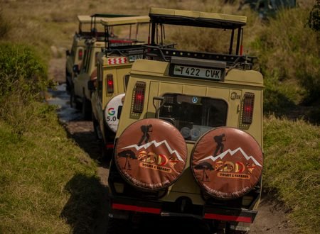 The Best 5-Day Tanzania Group Safari: Affordable Adventure 2027/2028