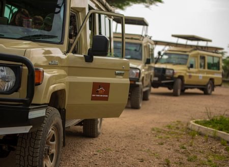 Best African Safari Tour Packages for an Incredible Wildlife Experience in 2027 and 2028