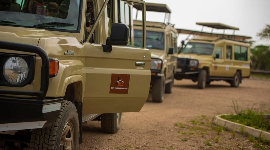 Best African Safari Tour Packages for an Incredible Wildlife Experience in 2027 and 2028