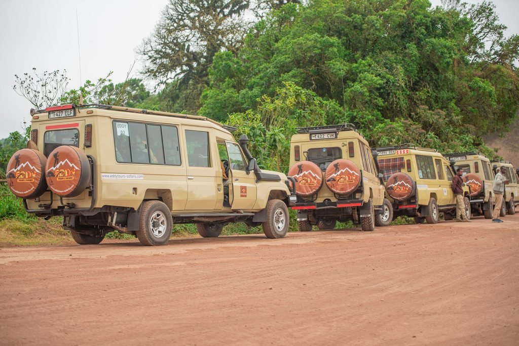 Tanzania in February: The Perfect Time for a Safari Adventure in 2027 and 2028