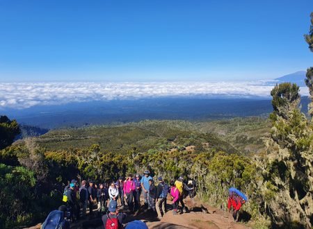 The Best 8-Day Lemosho Route: Conquer Kilimanjaro's Scenic Summit in 2027 and 2028