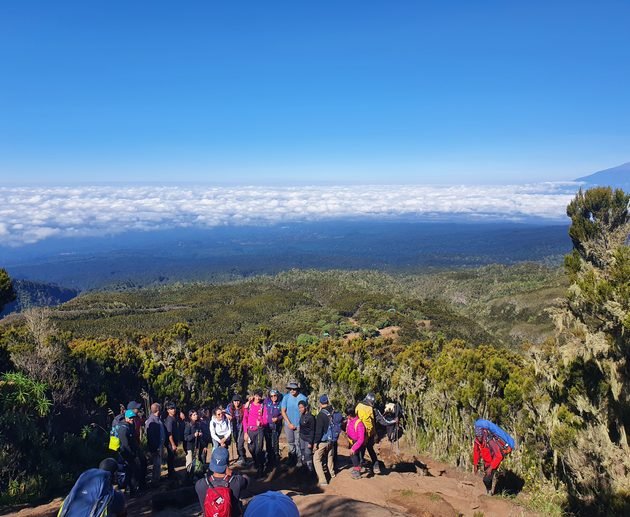 The Best 8-Day Lemosho Route: Conquer Kilimanjaro's Scenic Summit in 2027 and 2028